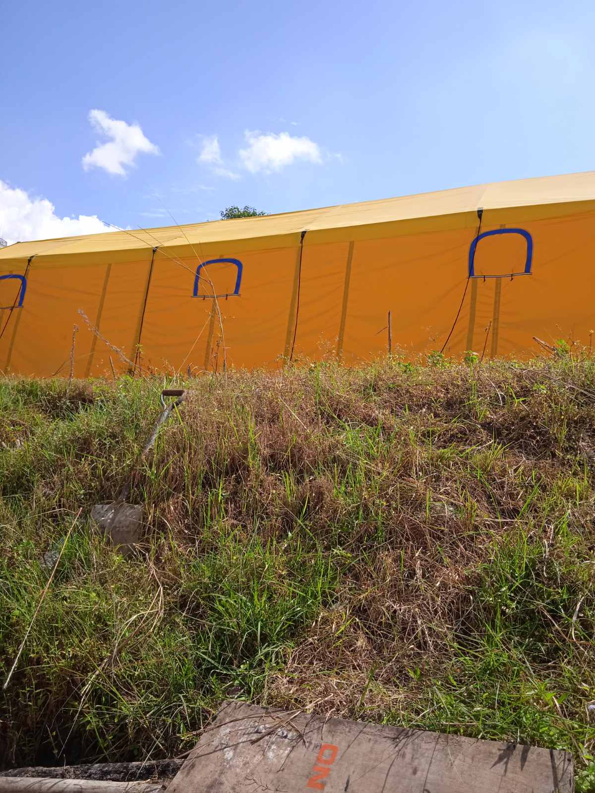 IMG-295aab251ccb0ea361665a54fa8934a8-V